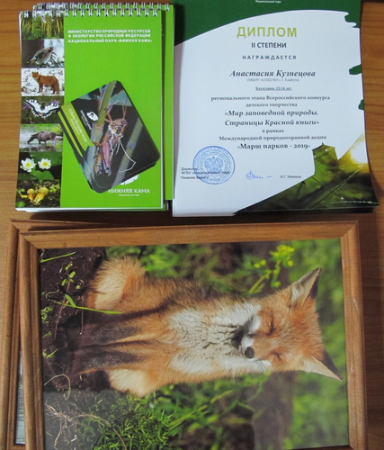 Новости за 2019-05-24