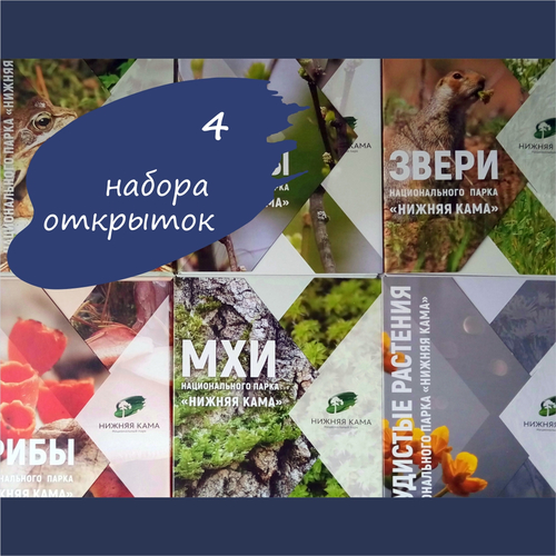 Новости за 2020-06-30