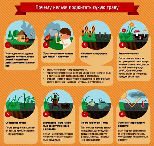 Новости за 2020-04-24