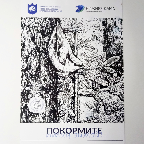 Новости за 2021-11-26